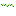 Texture for White Flower Crown