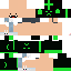 Texture for steve