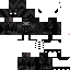 Texture for max