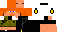 Texture for SIRIUS2
