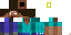 Texture for steve bine