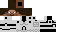 Texture for clone trooper