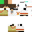 Texture for steve