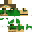 Texture for Monk