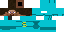 Texture for steve the space poineer