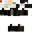 Texture for 4564