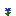 Texture for Blue Dandelion
