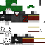 Texture for Zed 