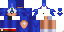 Texture for Sonic