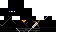 Texture for Ninja