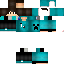 Texture for leo