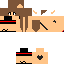 Texture for PiguiNois