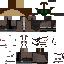 Texture for Lone wanderer