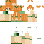 Texture for Pncp3