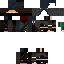 Texture for ninja