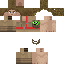 Texture for Red Twinner