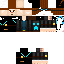 Texture for BertTDM