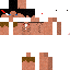 Texture for ds