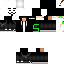 Texture for strongturtle