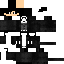Texture for leo