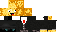 Texture for Pic1