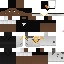 Texture for Phoenix