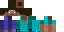 Texture for steve for formate