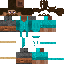 Texture for L1