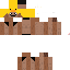 Texture for duck