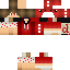 Texture for SrSett_