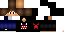 Texture for ds