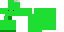 Texture for Turtle Body