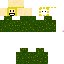 Texture for Axu Play flowey the flower