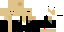 Texture for Hitman