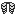 Texture for zebra elytra
