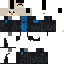 Texture for hawk invinci penguin