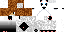 Texture for wersrsfs