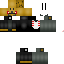Texture for ninjask