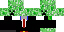 Texture for creeper worer