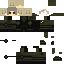 Texture for ss5