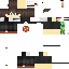 Texture for Steve