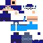Texture for FASTLION