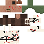Texture for vilager
