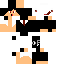 Texture for golden_fenixe