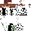 Texture for DALMI