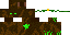 Texture for Test