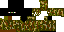Texture for Cкин Снайпера