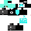 Texture for Nikol Cipher