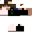 Texture for Hozonic