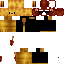 Texture for lion